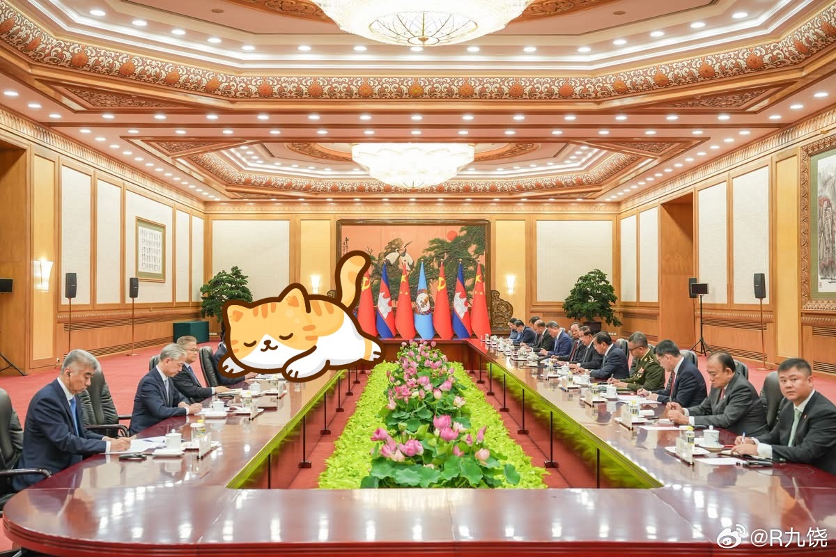 汪文斌今日汪大使等陪同会见洪森！两次的会见图集。