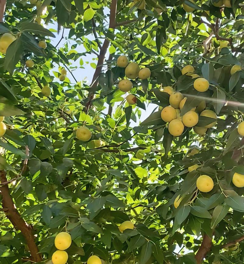 昨天晚上，我接到一个“安慰”我的电话，让我本来“无所谓”的心情变得有点“有所谓”