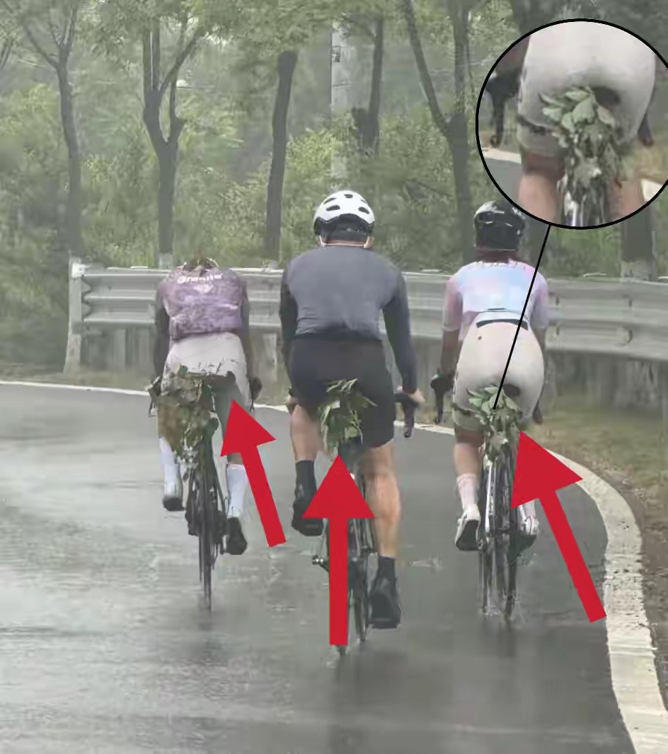 搞笑内涵图不懂咱就问，骑行爱好者这是什么操作？很拉风的样子……​​​