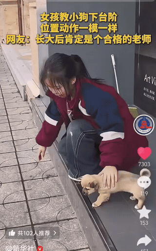 人教版！女孩养了一只小狗，领着出门的时候发现小狗不敢下台阶，一直在台阶边缘徘徊，