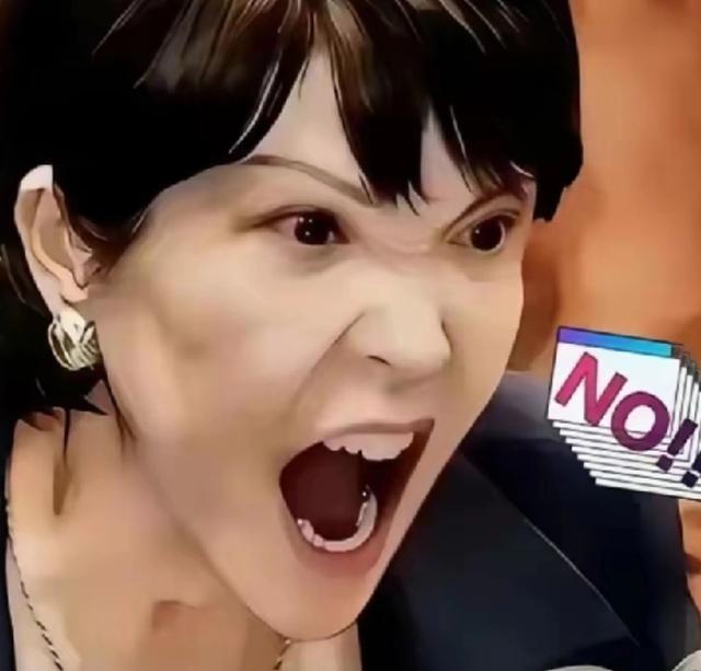轮到日本跳脚抗议了！4月29日，日本产经新闻报道称，29日凌晨12点20分左