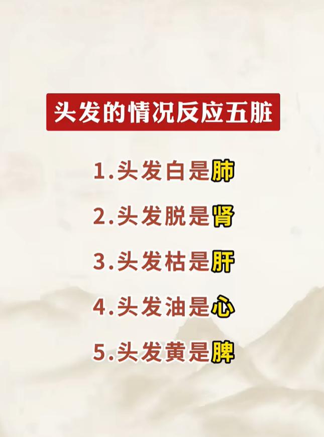 中医有“望发诊察”的思路，认为头发的荣枯和五脏气血津液密切相关，不同发质表现