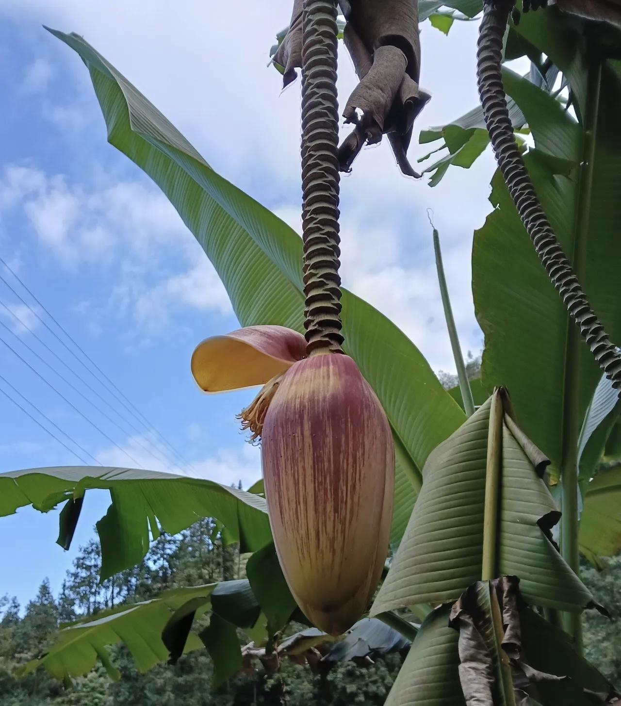 父母的“狠心”，才是给孩子最硬的铠甲父母一定要对孩子狠心，对孩子冷漠？其实