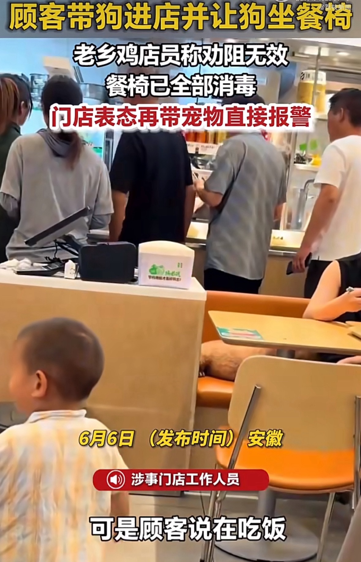 顾客执意带狗进老乡鸡让狗坐餐椅无话可说，数不清这是第多少件了