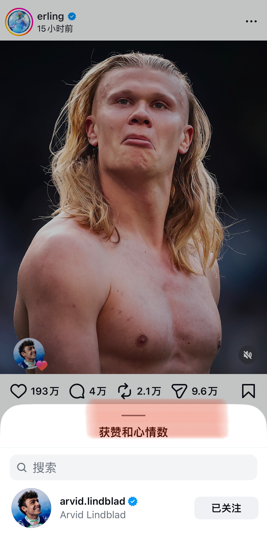 林德喜欢这挂的哈宝