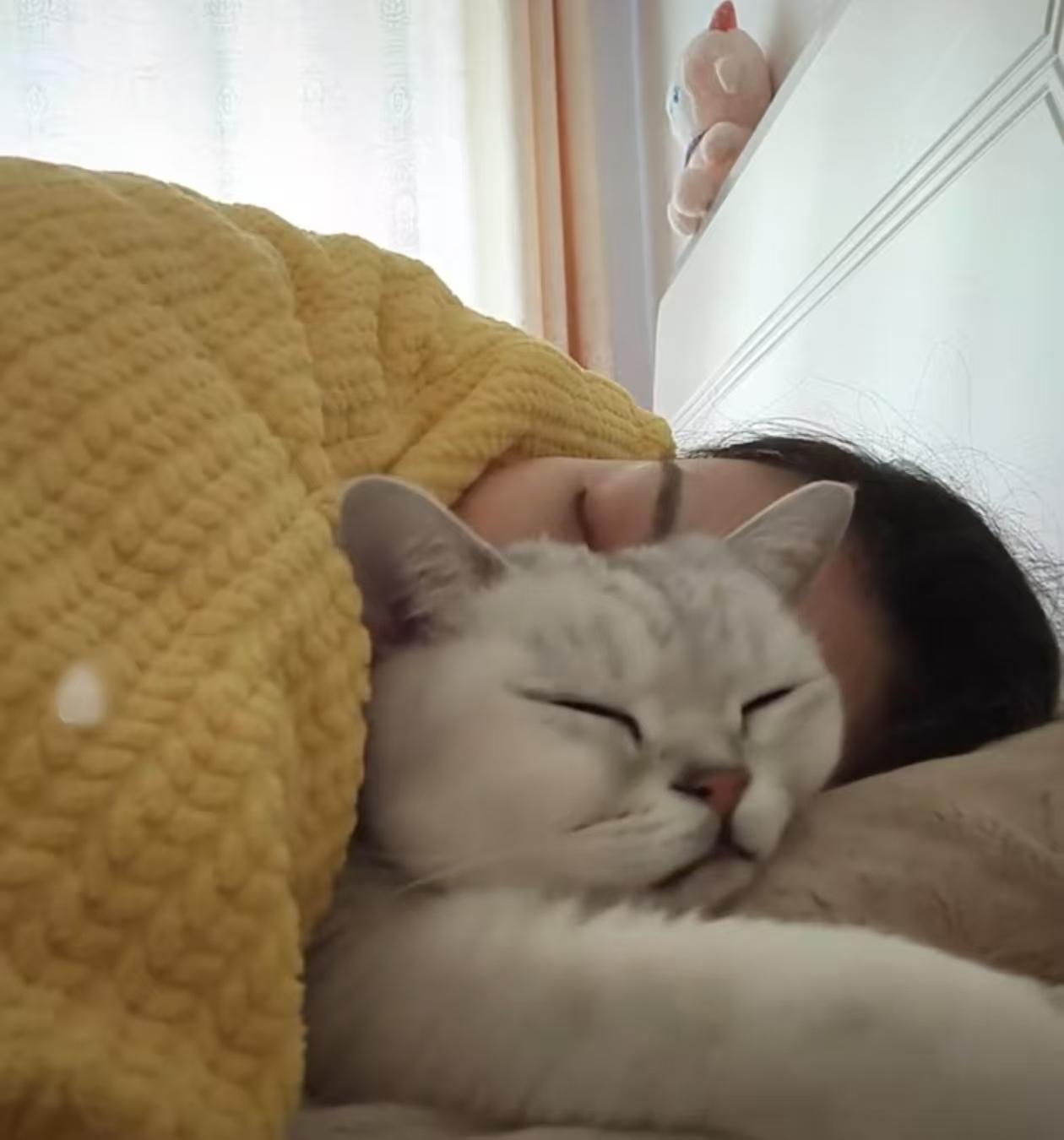 "物以类聚。"湖北，一女子独居养猫作伴，猫咪乖巧懂事。直到猫咪碰到邻居家活泼