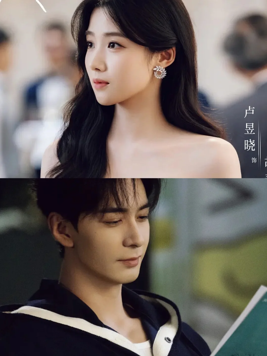 🆘播了播了！猫的树新剧太对味了！