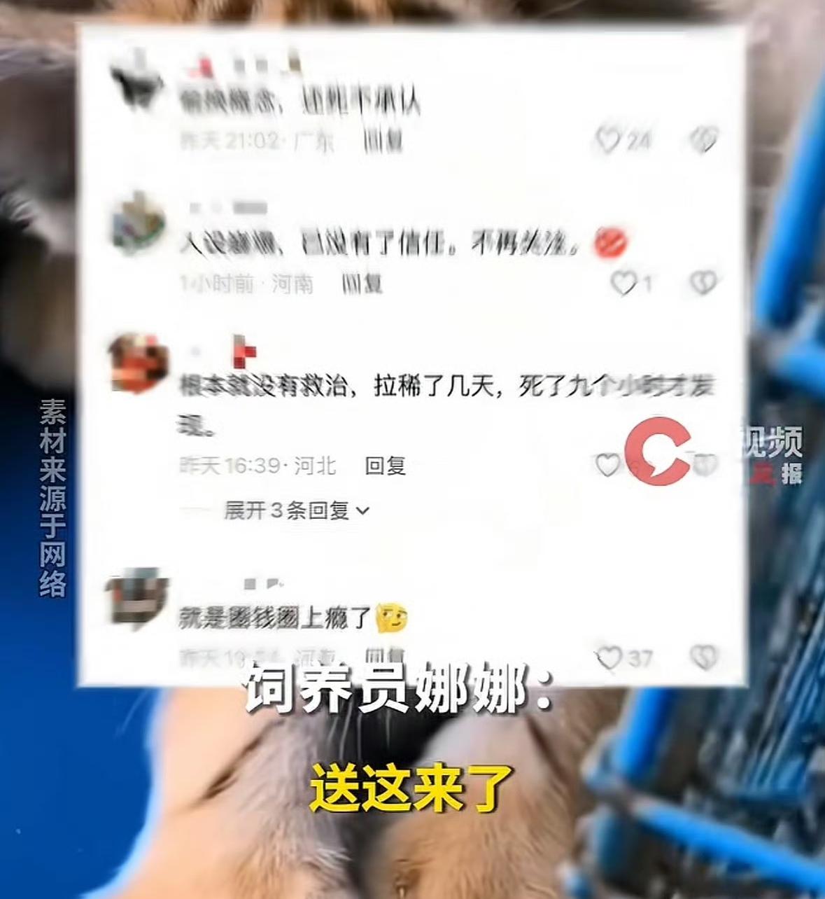 河南濮阳这事儿太离谱了！濮阳市中心动物园是民营的，设施老旧运营压力大，就靠饲养员