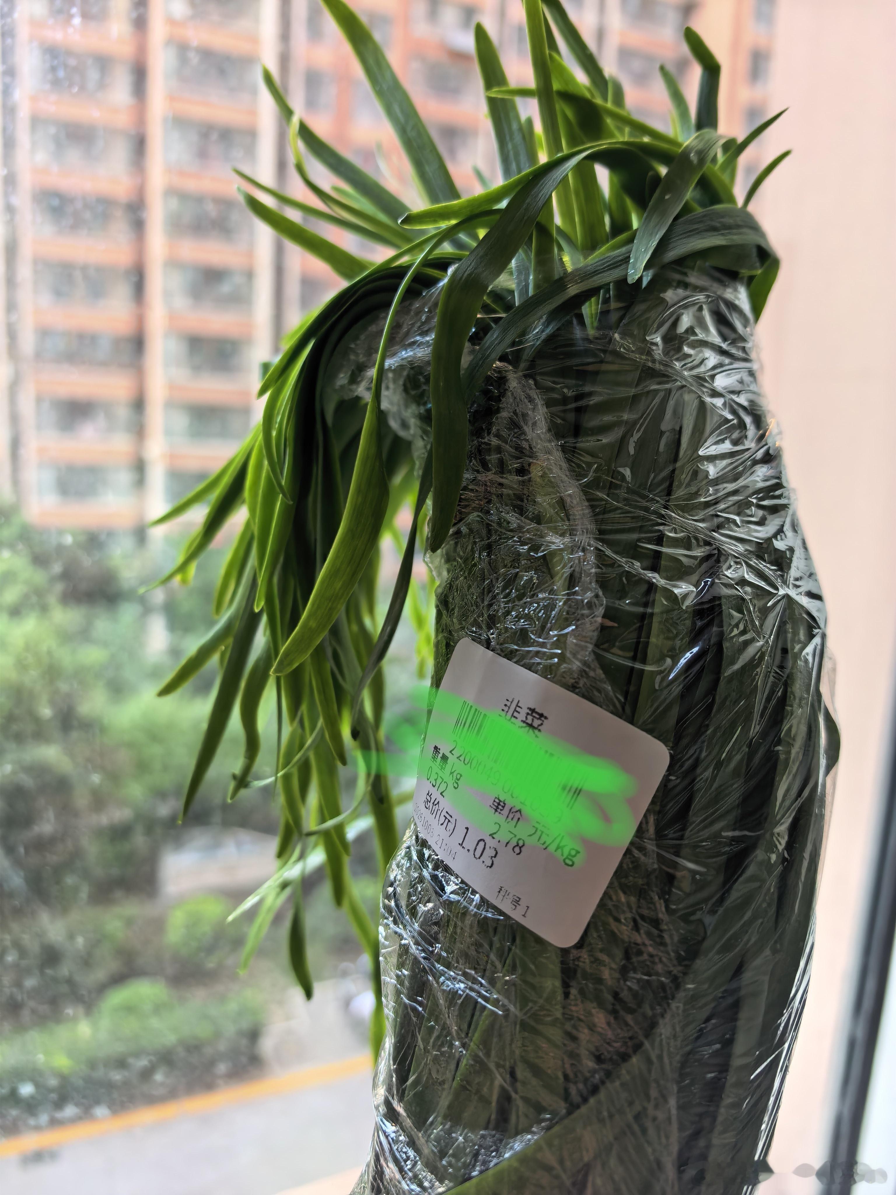 韭菜馅饺子最好吃吧？​​​