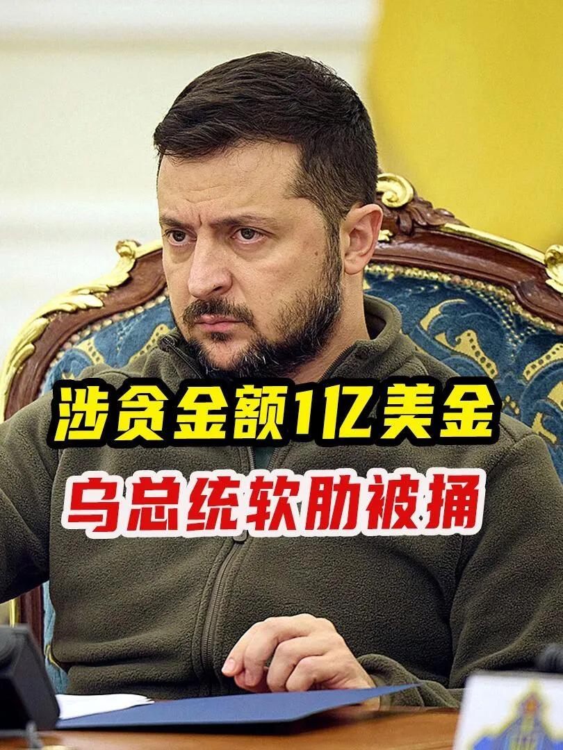 乌克兰icon记者爆料：泽连斯基icon自己才是大鱼，被西方机构发现贪了10亿美