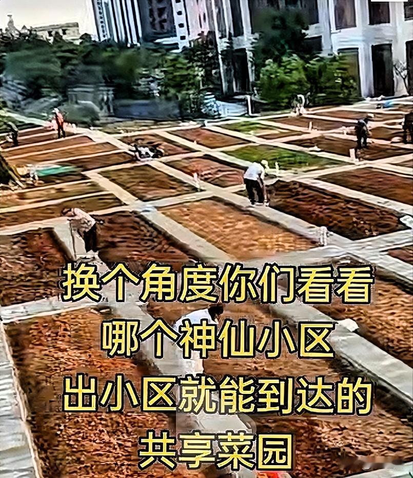 或许这样的房子连带才是将来房主喜欢的模式！也是开发商值得推崇的开发趋势！与时