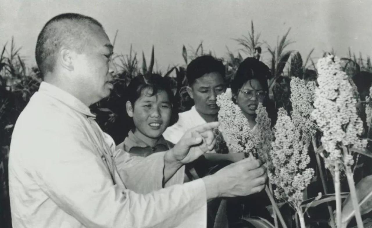 1957年夏，彭老总前往北戴河视察，途经一处河道位置时，只见：“河面上漂浮着许多
