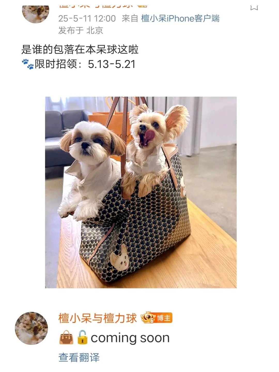 👂檀健次的小狗好像都要有代言了。​​​