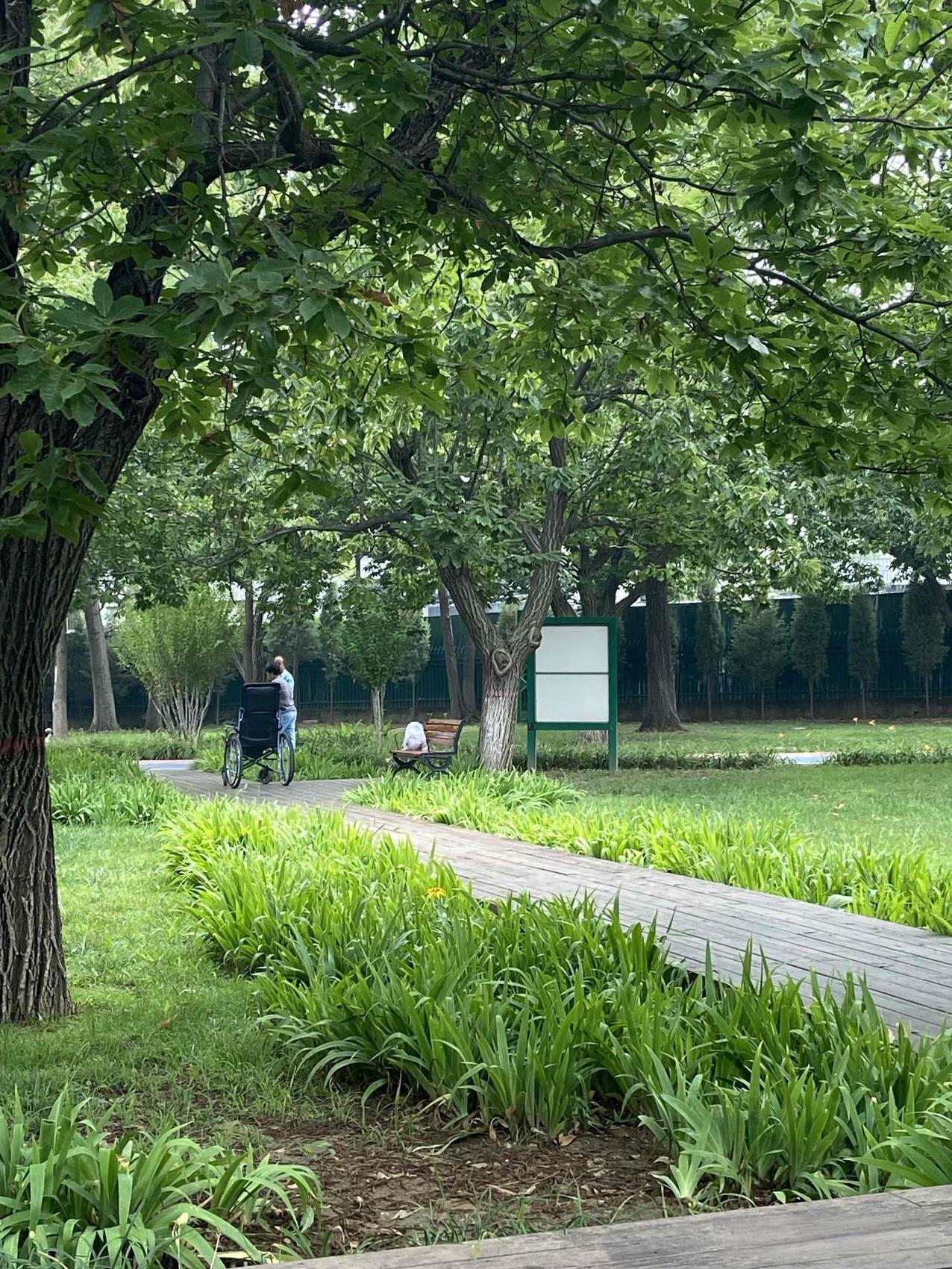 今天在公园又看到了这老两口。第一次见到他俩也是这样一个下午，当时我正坐在椅子上