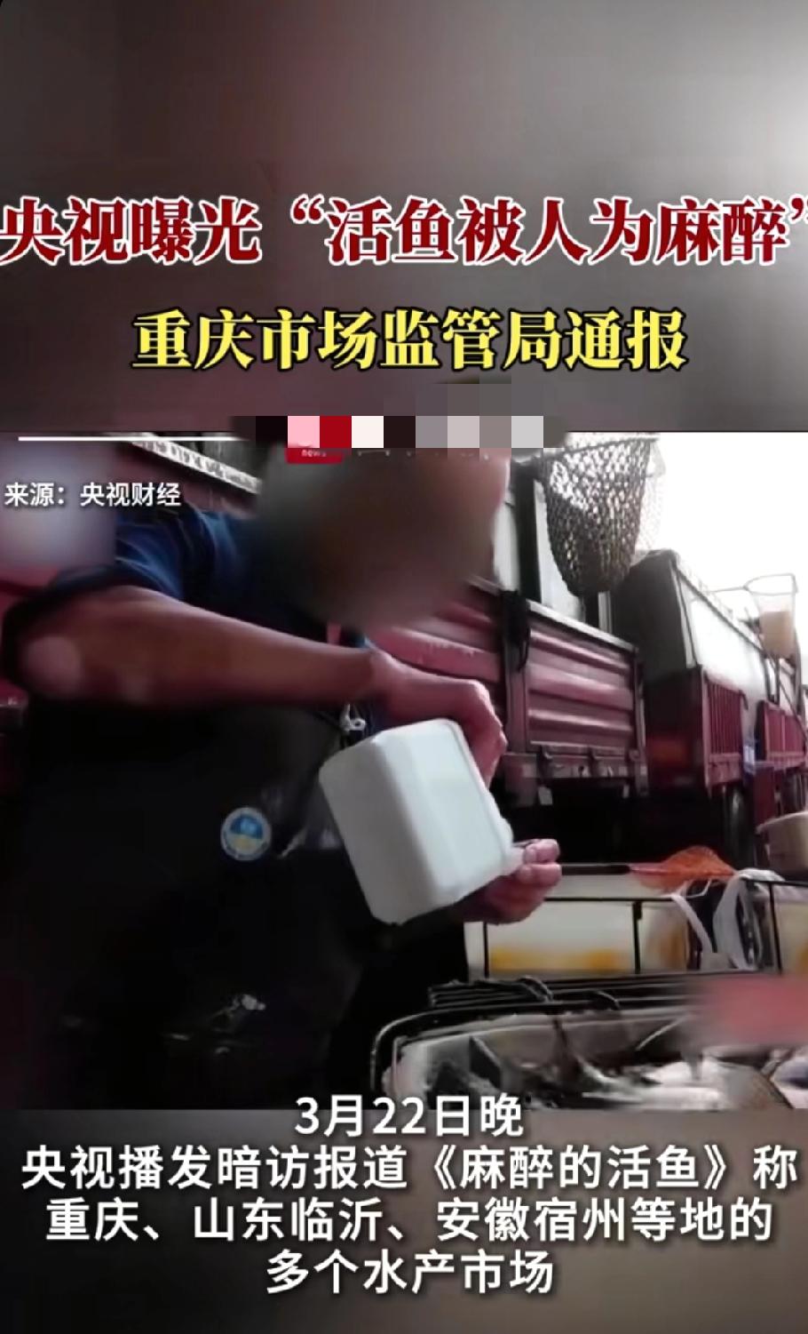 央视曝光：活鱼被喂麻醉药“休眠”上市，市监部门连夜突击核查。央视《财经调查》近