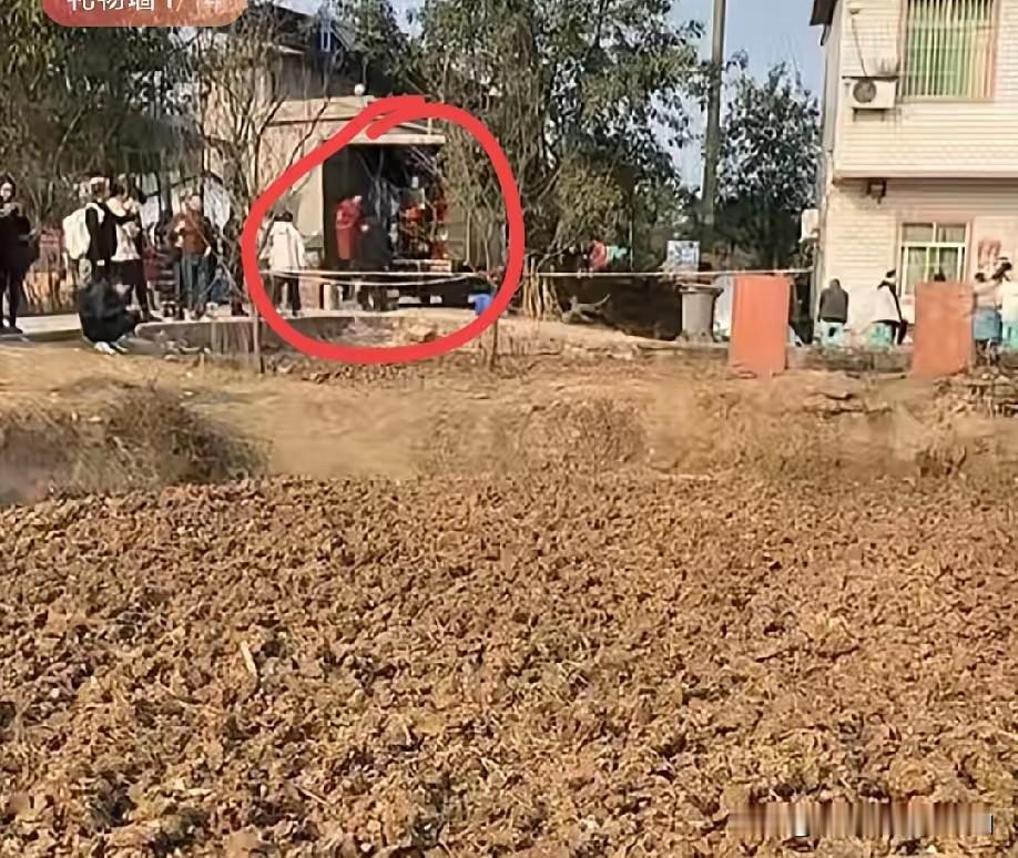 截止1月12日晚上10点，呆呆家的刨猪宴彻底结束了，13日早上，为了不让网友继续