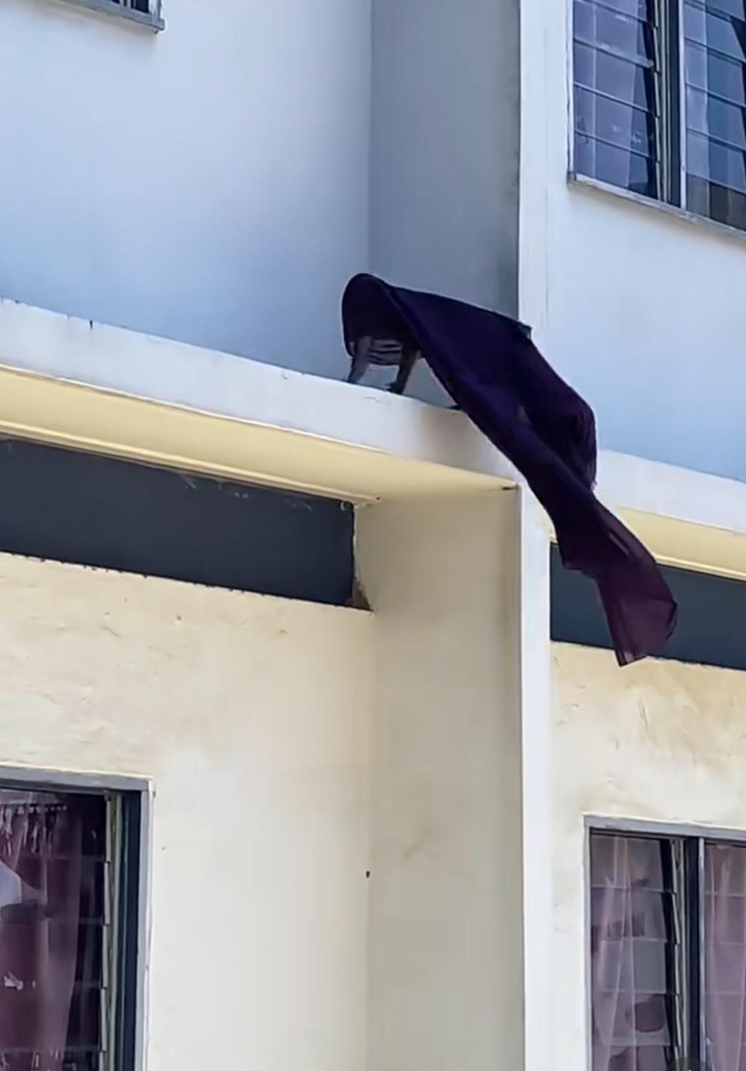 对门楼墙外是个什么？看半天没看明白！