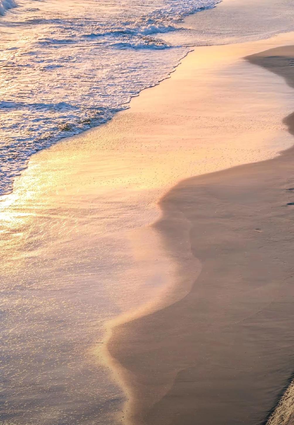 这两天，一条重磅消息冲上热搜：全国政协委员、中国传媒大学党委书记廖祥忠在全国两