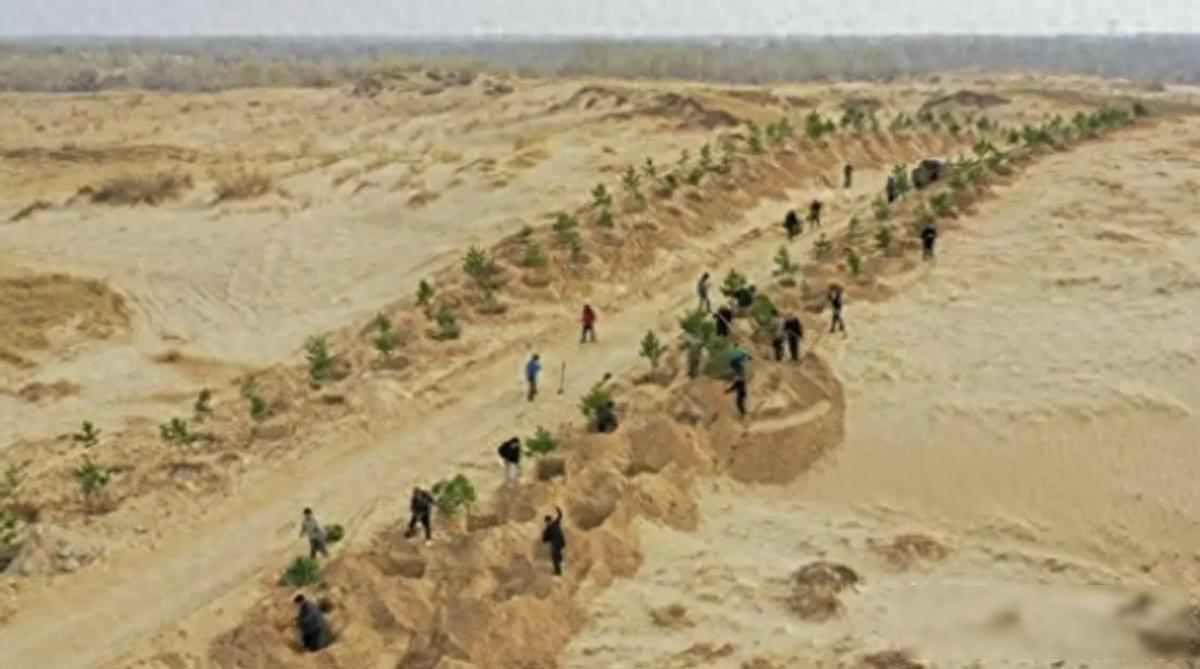 黄沙跨过边境线治沙人种了三十年的树，可风一吹，隔壁草原的沙还是漫了过来，年年补