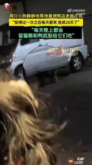 善良的人必有福报！江苏常州一名男子开了一家烤鸭店，偶然看见两只流浪小狗，觉得它们