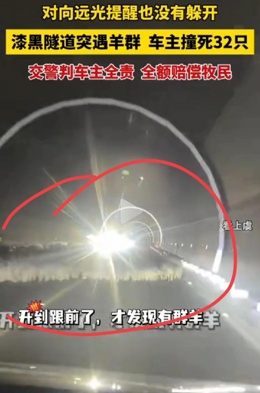 女车主漆黑隧道撞死32只羊。问题根源在于，隧道设计不合理！警示牌设置不合理！