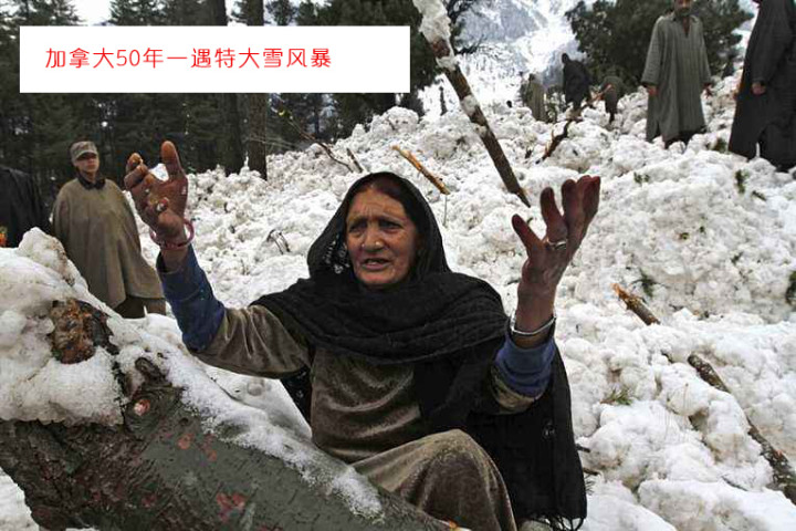 2020年是世界多灾多难的一年