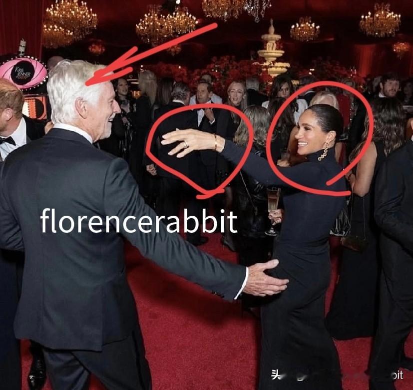 一张被删除的照片：梅根拥抱“她的老板”--里德·哈斯廷斯！虽然她的脸涂了50层铜