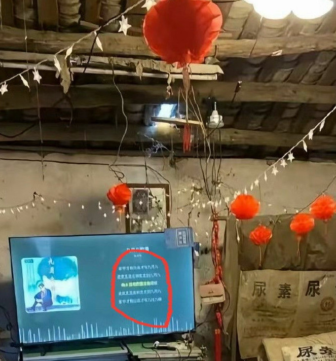 想出门打工，又怕电视被偷