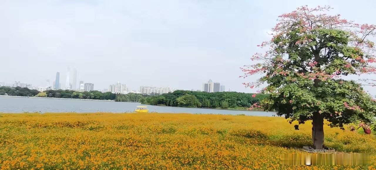 纠结卖房的朋友，先算笔扎心的账——南沙那套自住，跌了65万，增城南向那套跌