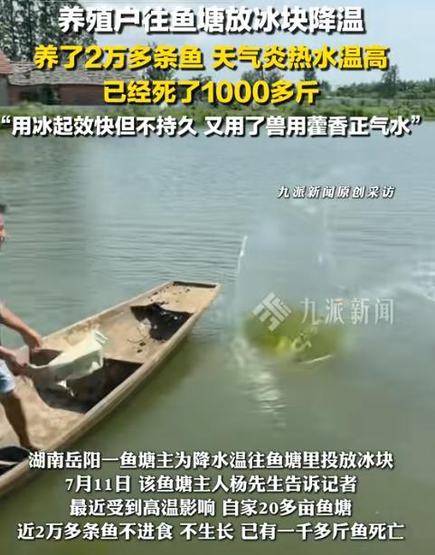 “聪明人就是厉害！”湖南岳阳，一男子承包了20多亩鱼塘，养了快20000条鱼，可