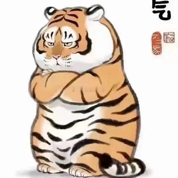 同行压了自己的房子换钱收车，规模一下子翻了好几倍！！！结果车市暴跌，高价压的房产