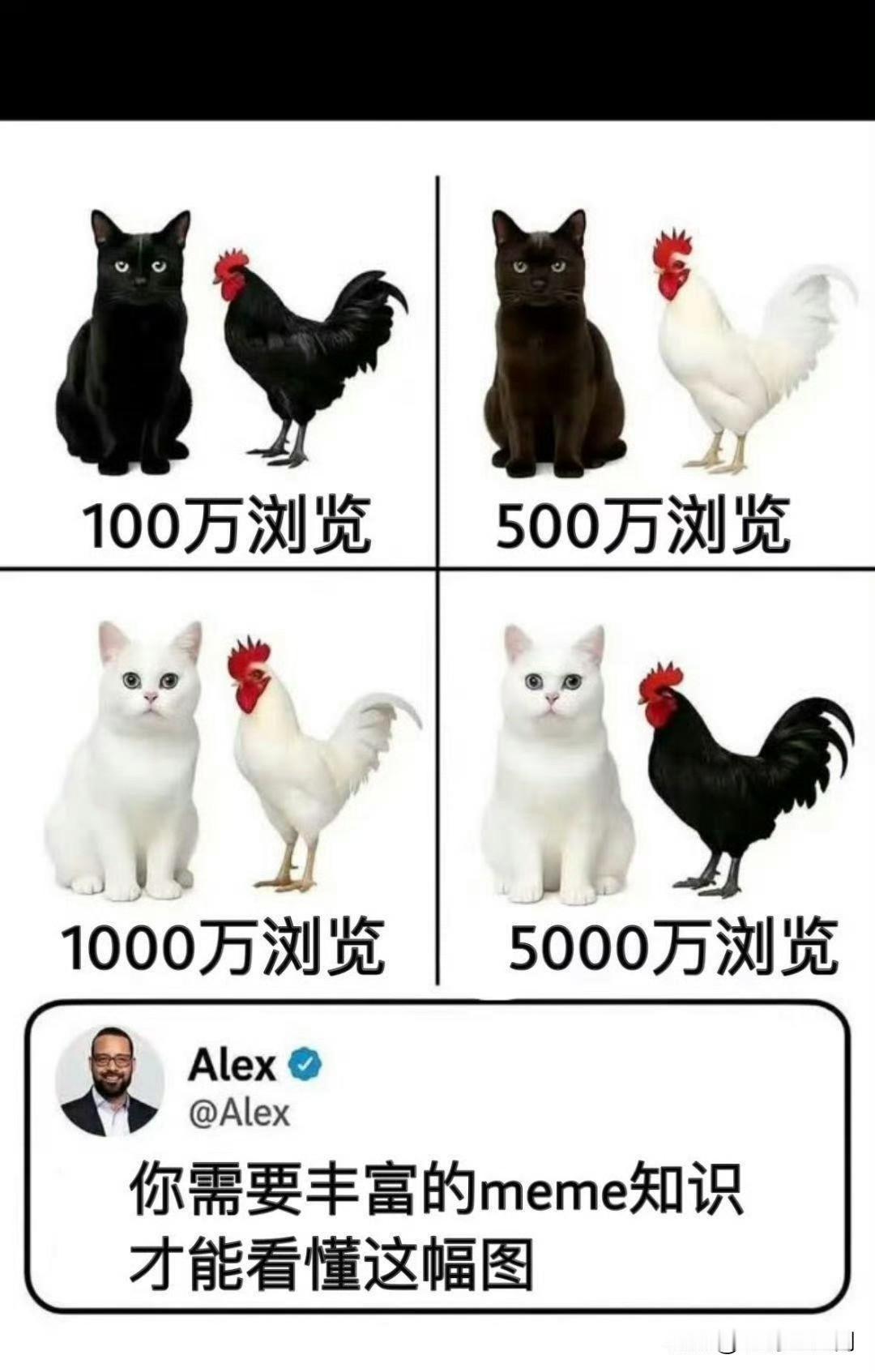 “反差/违和感+流量”逻辑类似的魔性meme例子，都是靠“离谱组合”戳笑点的：