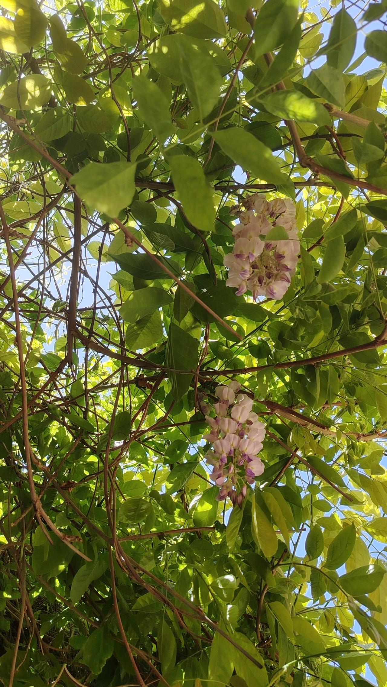 小故事：一位年轻人向禅师请教人生困惑，禅师给他泡了一杯茶。茶叶在沸水中沉浮，最终