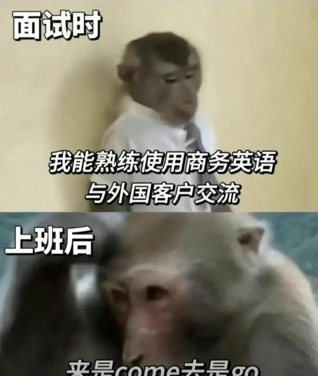 这是被洗脑了[doge]