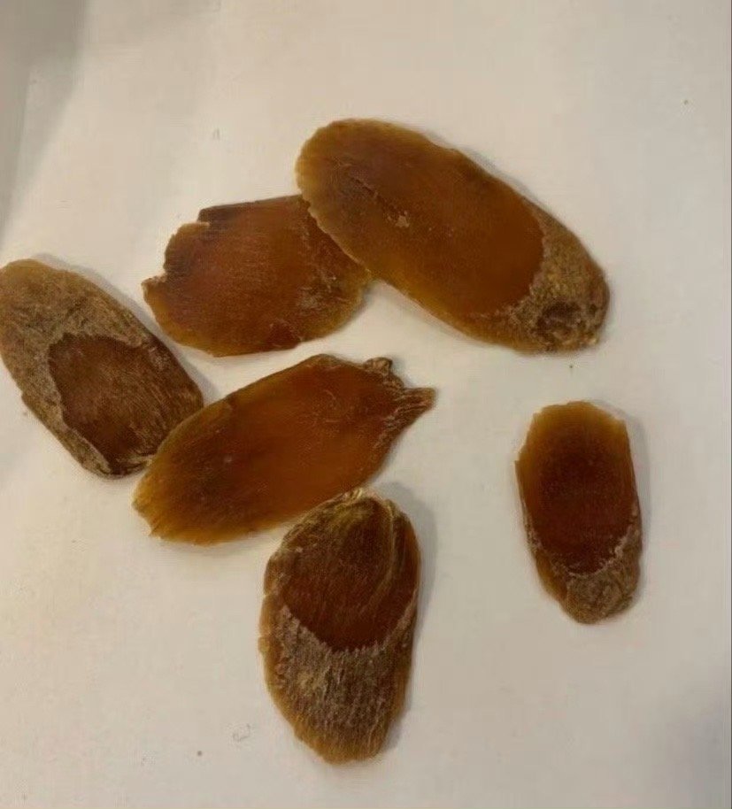 真无语男朋友把我妈寄来的红参全吃了