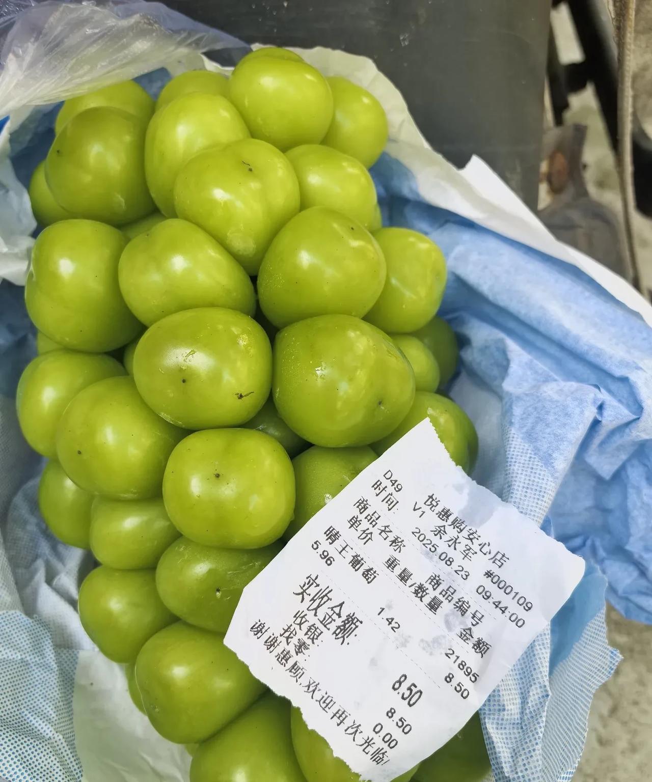哈尔滨晴王葡萄2.98元一斤，我没见过比这更便宜的晴王葡萄了，而且个头大，品相佳