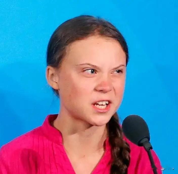 不可思议！瑞典环保少女通贝里被曝遭到以军虐待。著名的瑞典环保少女通贝里乘船向加沙