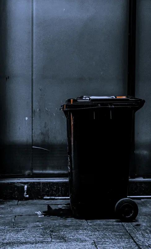 4月5日发生的一件事太让人无语了。有个女子两次将带火星的垃圾倒入垃圾桶，结果引发