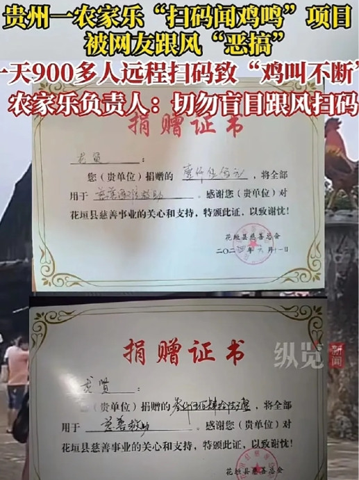 笑不活了！2025年，2块鸡鸣叫一天，网友大半夜扫码：老板含泪拉电闸！ 在重