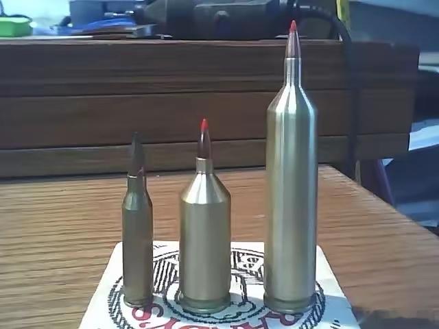 不懂就问，这是打什么的子弹？