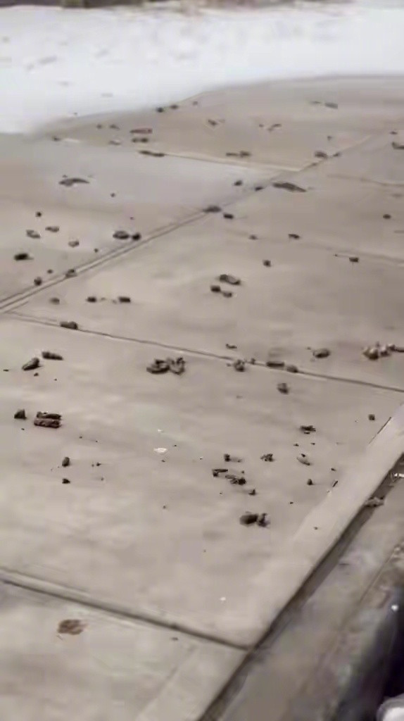 美国不扫雪的真相来了前几天有一篇鸡汤文章说：中国人扫雪，美国人不扫雪，因为美国人