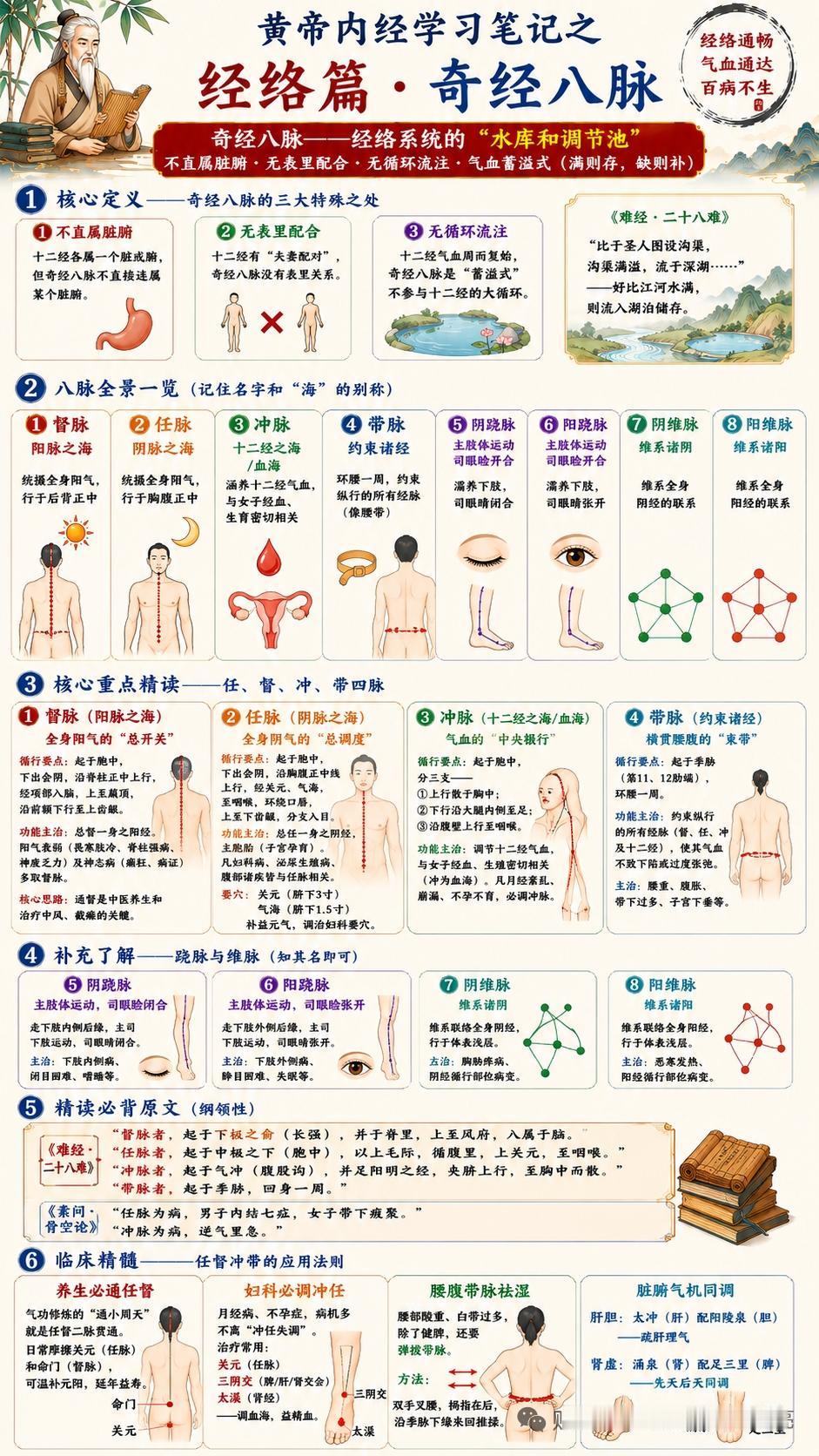 早先跟着中医老师研习经络知识时，最打破固有认知的便是奇经八脉的定位逻辑。寻常