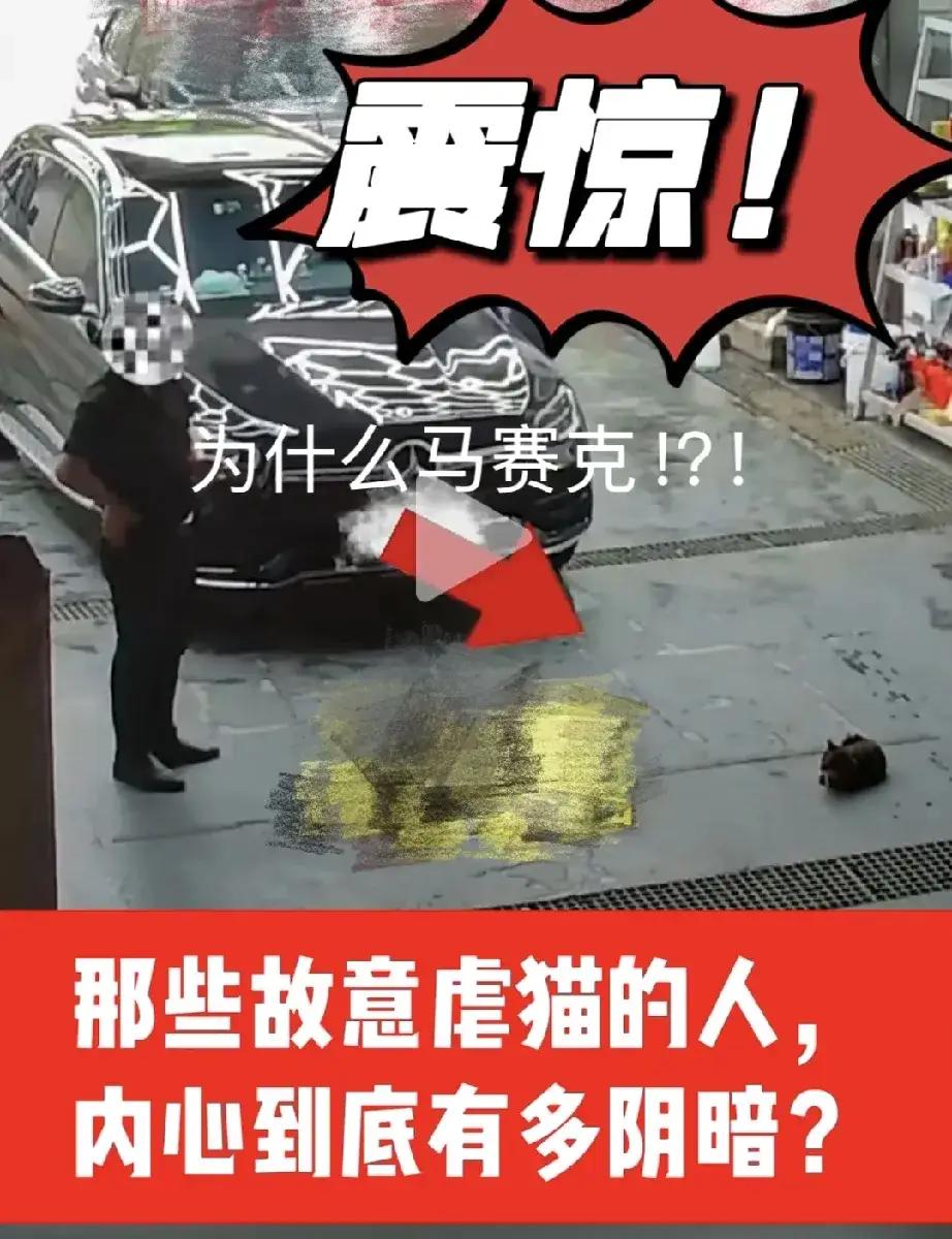 奔驰碾猫事件——📌事件背景与细节解析这张图片中的评论，指向近期引发全网公愤