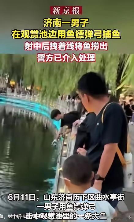 山东济南曲水亭街一名男子竟然众目睽睽之下，用上了专业的捕鱼工具——鱼镖弹弓，对池