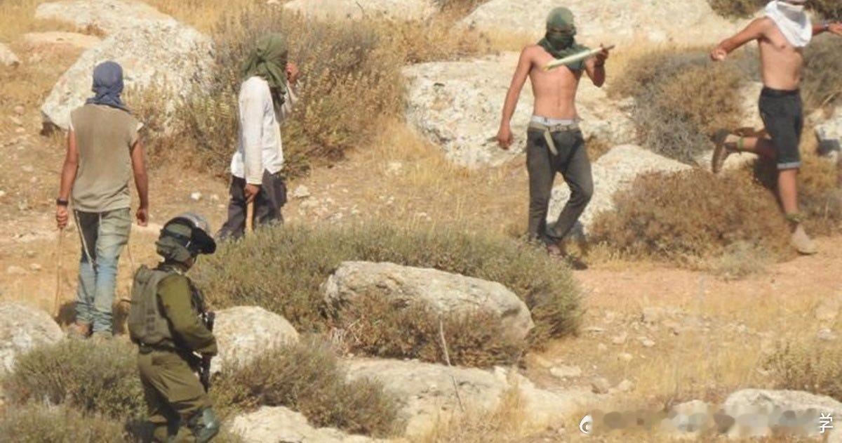 🟥恐怖定居者团伙在约旦河西岸的袭击已突破一切底线。这些暴行在全世界和所有政府的