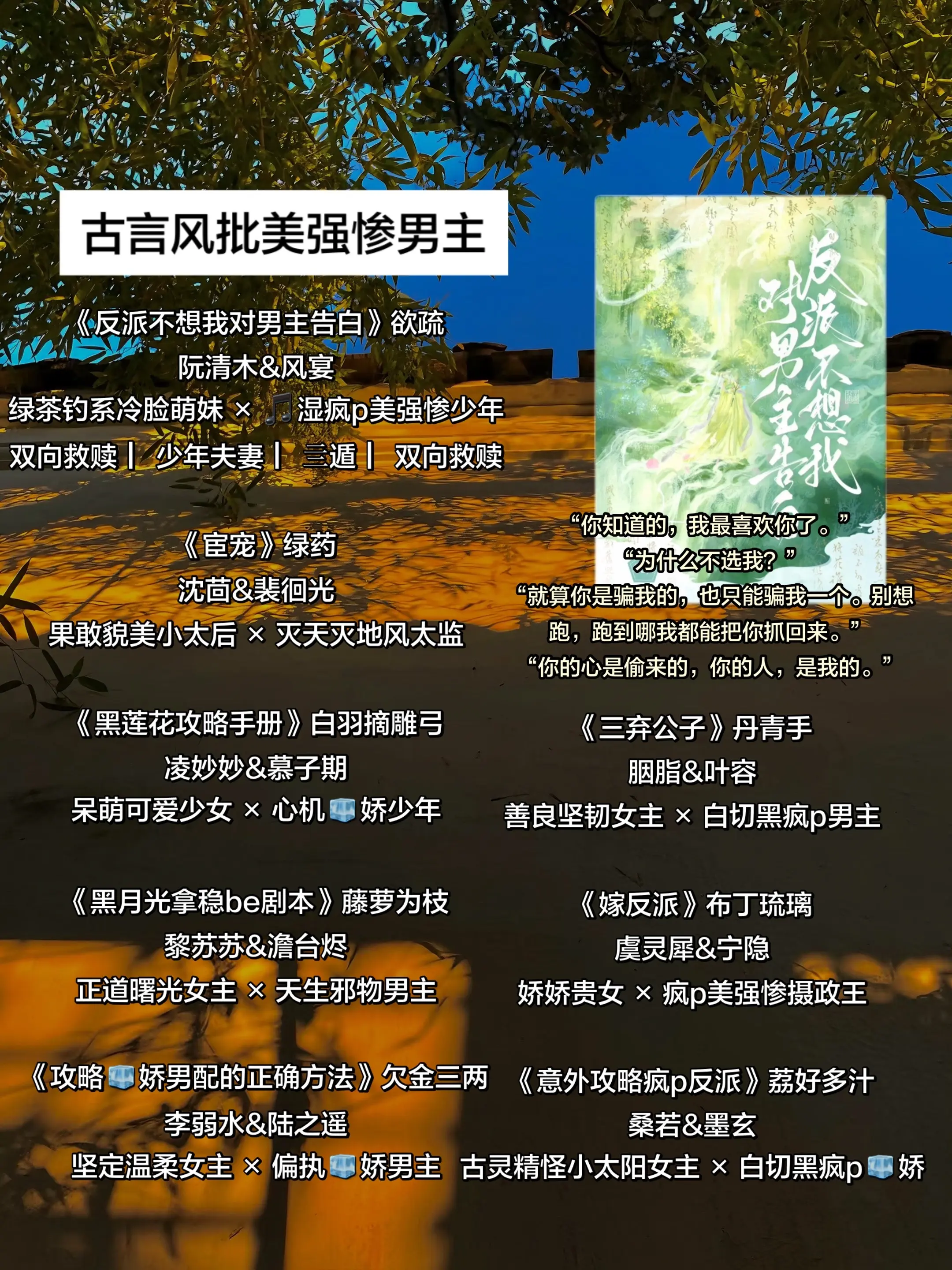 古言疯批美强惨男主。