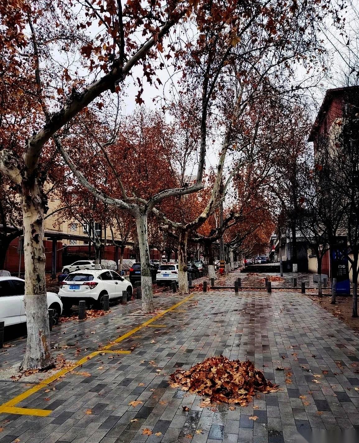 三天后，1月8号，有个东西要来，叫“三九”。它最狠的地方，不是上来就给你一巴掌