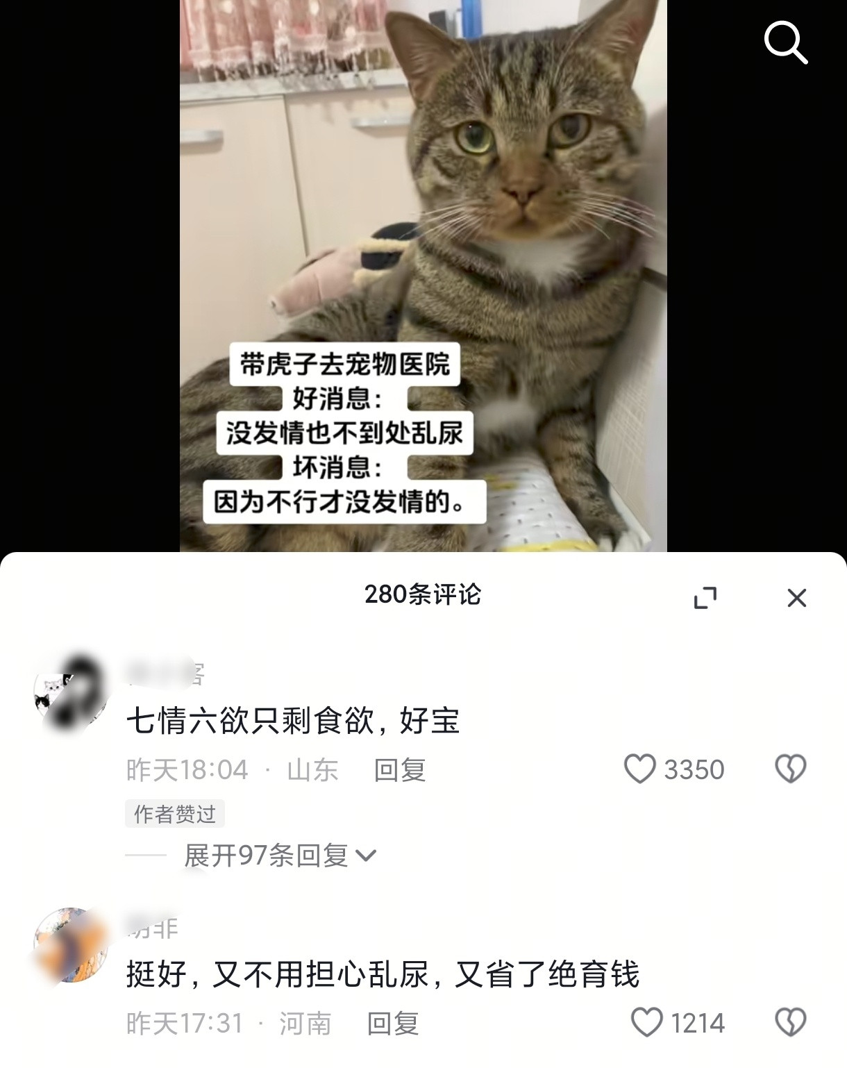 哈哈哈哈哈哈养胃小猫[笑着哭]​​​