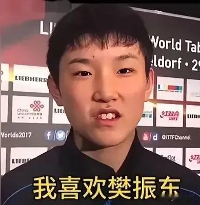 林诗栋为什么最怕张本智和？因为他们都是樊振东的迷弟，都属于反手体系的选手！而