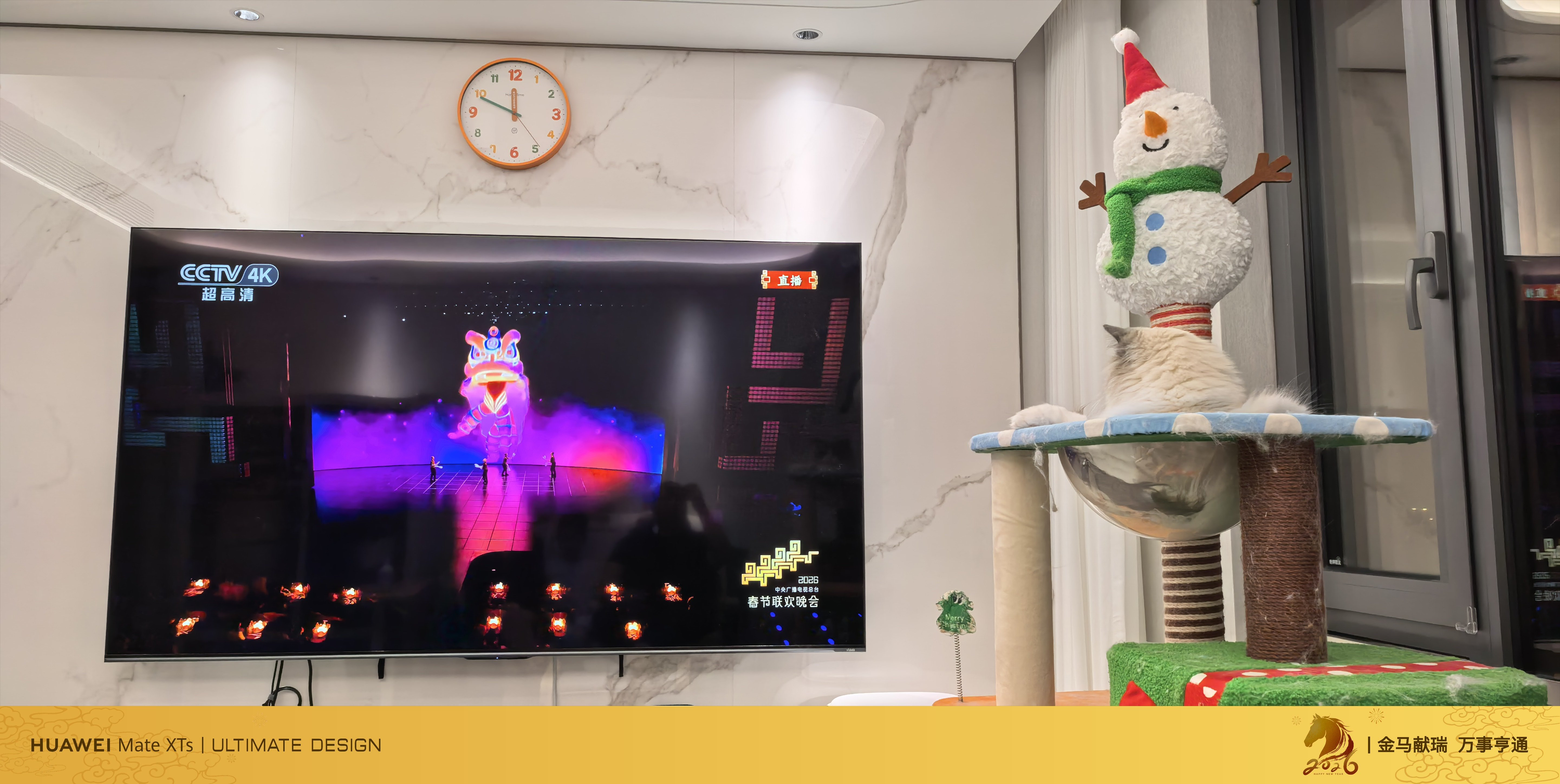 论北方人看春晚的普及率~我家连猫都在看春晚~~咱这个预测，相当厉害~我儿子刚给大